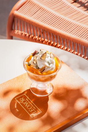 SOCIETE HOTELIERE DE LA NUEE BLEUE