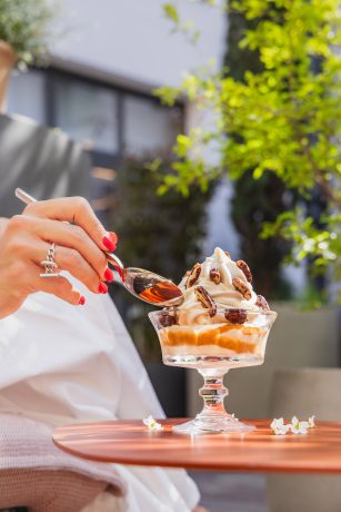 SOCIETE HOTELIERE DE LA NUEE BLEUE